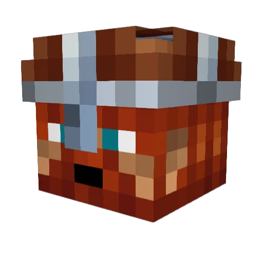 RubenWW73 Minecraft avatar head, 3D render