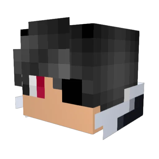 Ruben_Da_Pig Minecraft avatar head, 3D render