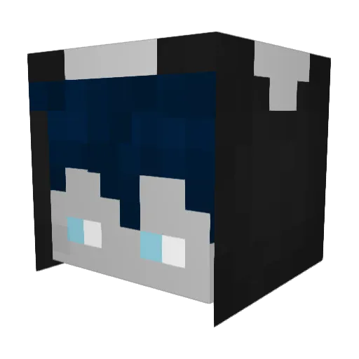 RubensInvis Minecraft avatar head, 3D render