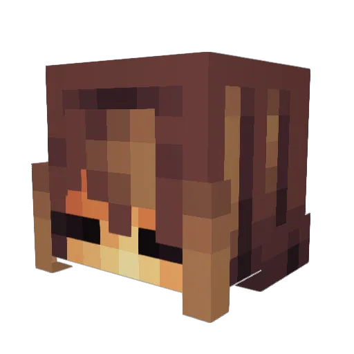 Ruberzzz Minecraft avatar head, 3D render