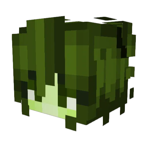 Rubesprout Minecraft avatar head, 3D render