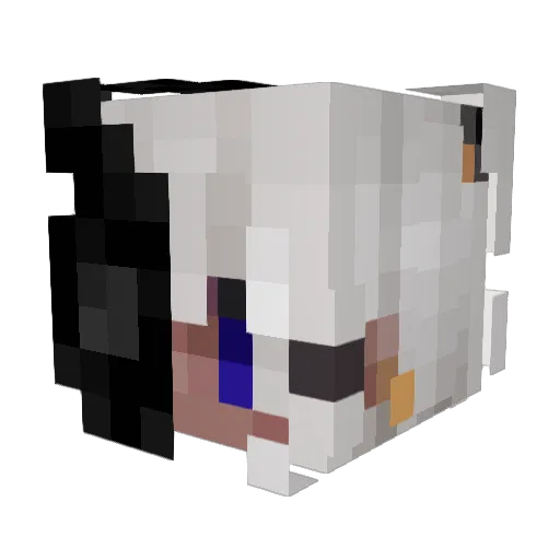 Rubi255 Minecraft avatar head, 3D render