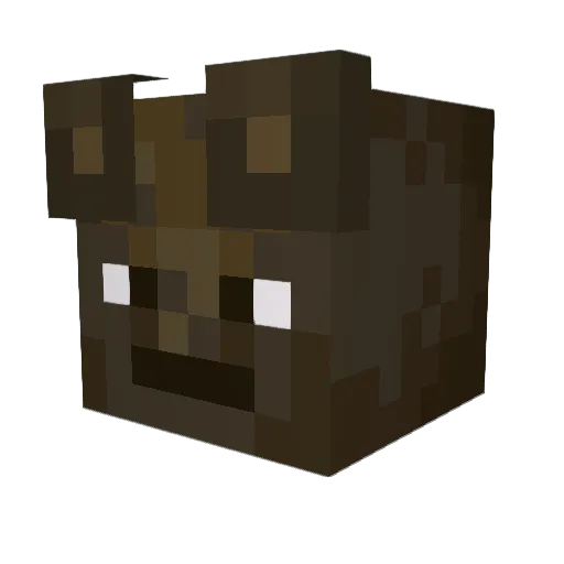 RubiRam Minecraft avatar head, 3D render