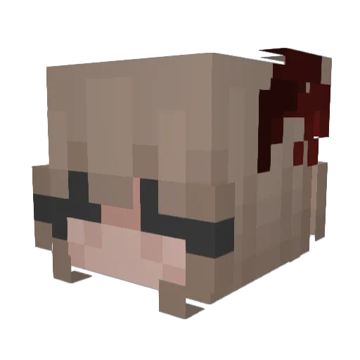 Rubickelia Minecraft avatar head, 3D render