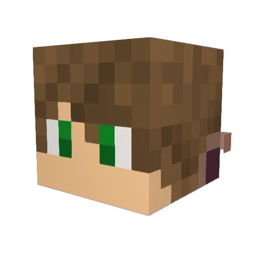 Rubidium10 Minecraft avatar head, 3D render
