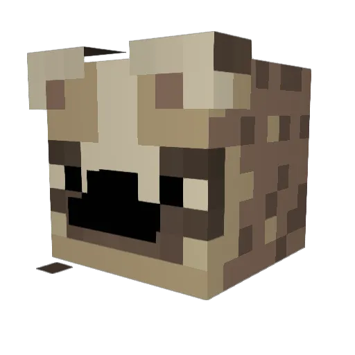 Rubieboy123 Minecraft avatar head, 3D render