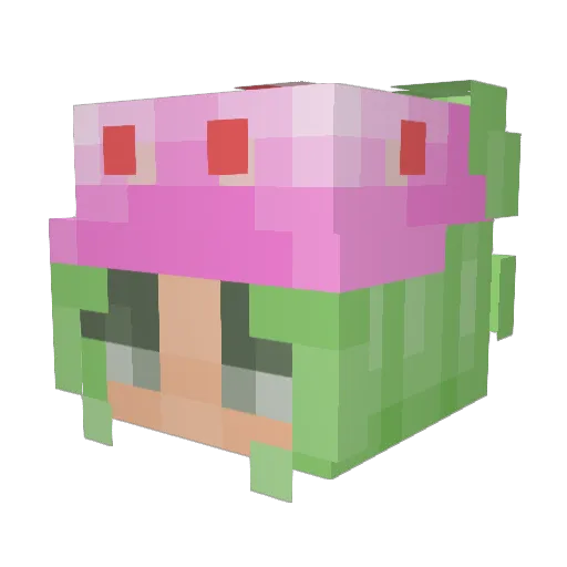 Rubii_nwn Minecraft avatar head, 3D render