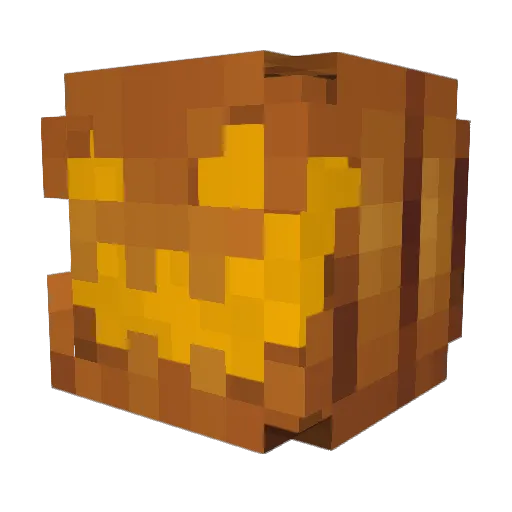Rubiii18 Minecraft avatar head, 3D render