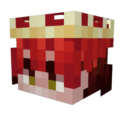 RubinMc_ Minecraft avatar head, 3D render