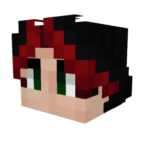 Rubin_Hort Minecraft avatar head, 3D render