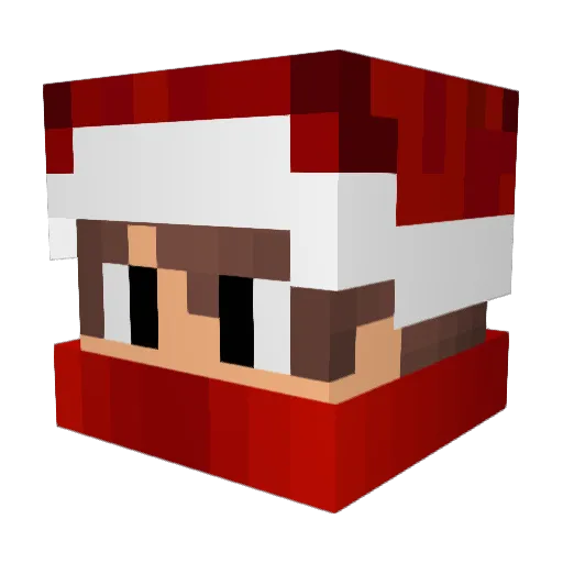 Rubins2812 Minecraft avatar head, 3D render