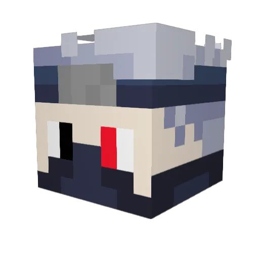 RubioYeeHaw Minecraft avatar head, 3D render