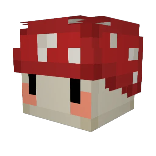 Rubisc0 Minecraft avatar head, 3D render