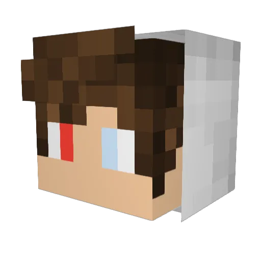 Rubisco137 Minecraft avatar head, 3D render