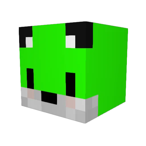 Rubix2003 Minecraft avatar head, 3D render