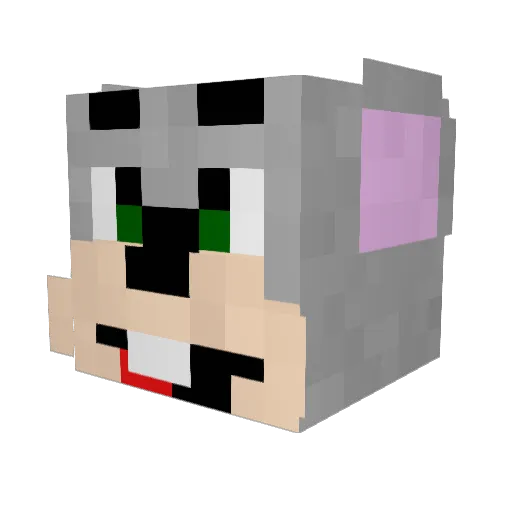 RubixGod Minecraft avatar head, 3D render