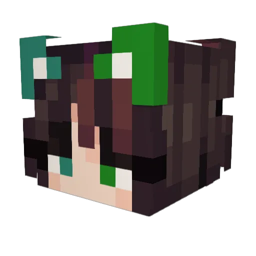 RubixLord3090 Minecraft avatar head, 3D render