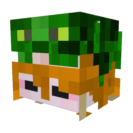 Rubixcools Minecraft avatar head, 3D render