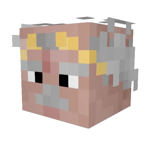 Rubric21 Minecraft avatar head, 3D render