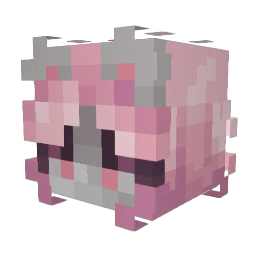 Rubricalkochh Minecraft avatar head, 3D render
