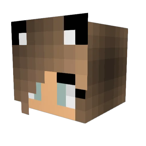 Rubster88 Minecraft avatar head, 3D render