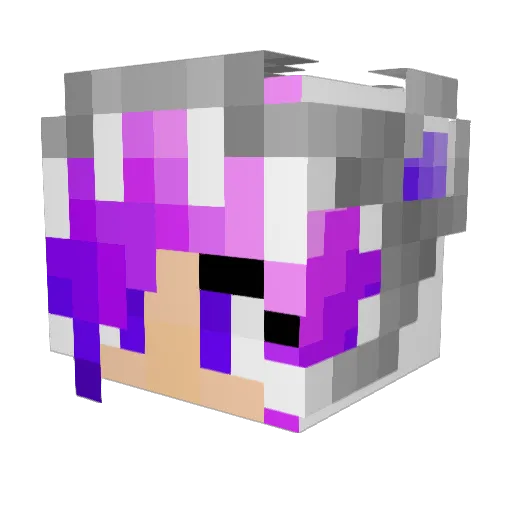 Rubx01 Minecraft avatar head, 3D render