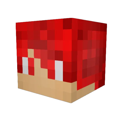 Ruby014 Minecraft avatar head, 3D render