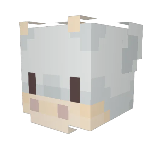 Ruby1608 Minecraft avatar head, 3D render