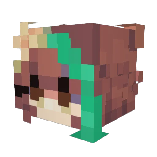RubyBird12 Minecraft avatar head, 3D render