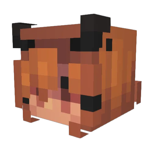 RubyChapman Minecraft avatar head, 3D render