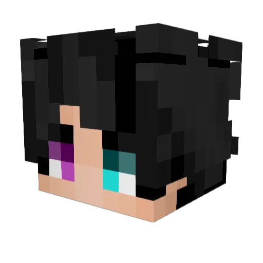 RubyCoyoteMC Minecraft avatar head, 3D render