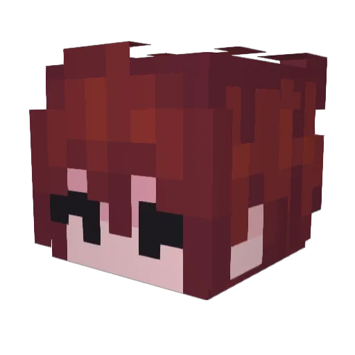 RubyDragon505 Minecraft avatar head, 3D render
