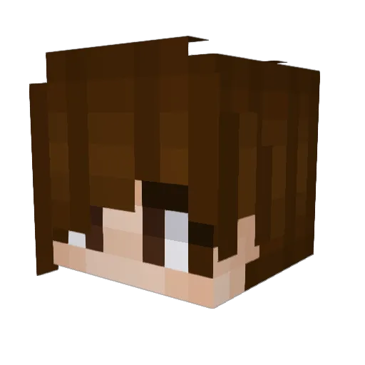 RubyJudd Minecraft avatar head, 3D render