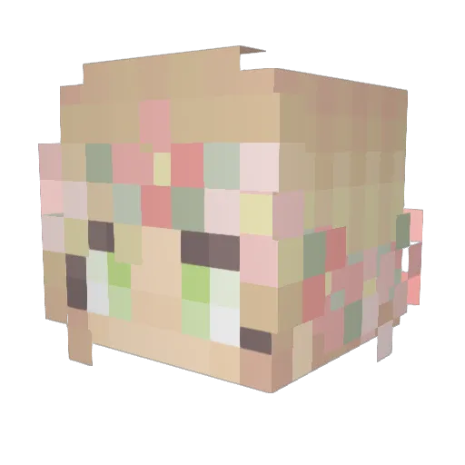 RubyLilly Minecraft avatar head, 3D render