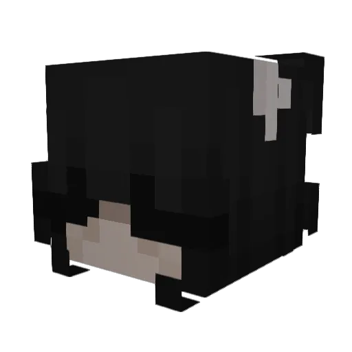 RubyRabies Minecraft avatar head, 3D render