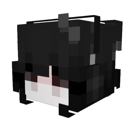 RubyRoses_ Minecraft avatar head, 3D render