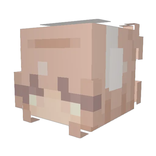 Ruby_Casserole Minecraft avatar head, 3D render