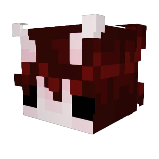 Ruby__w Minecraft avatar head, 3D render
