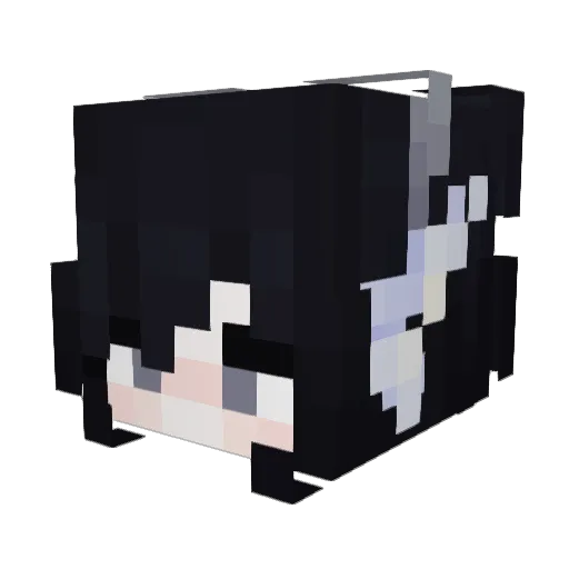 Rubycake9876 Minecraft avatar head, 3D render