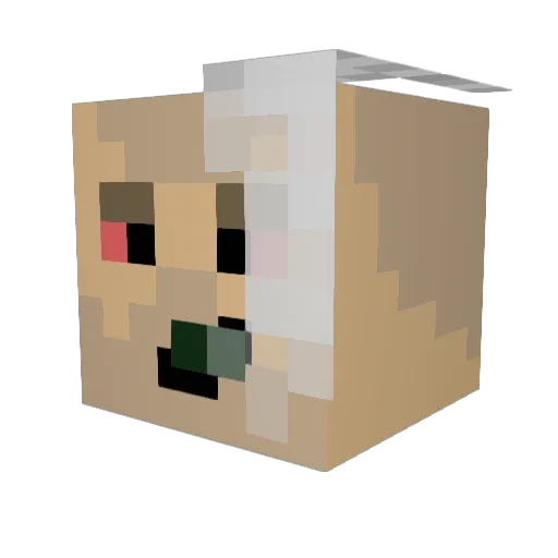 Rubykai Minecraft avatar head, 3D render
