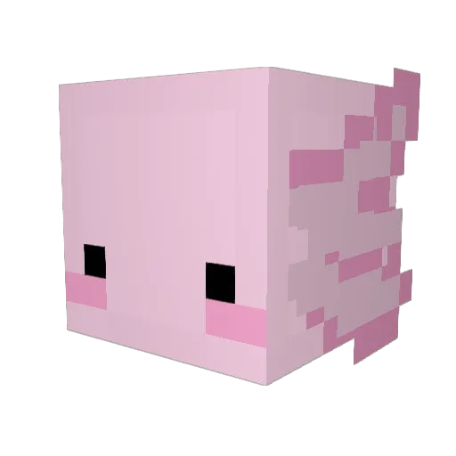 Rubynante Minecraft avatar head, 3D render