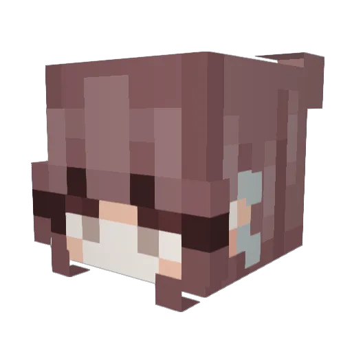 Rubyred2929 Minecraft avatar head, 3D render