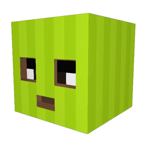 RubysRevenge Minecraft avatar head, 3D render