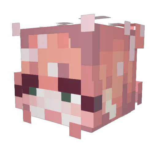 Rubyystarlightt Minecraft avatar head, 3D render