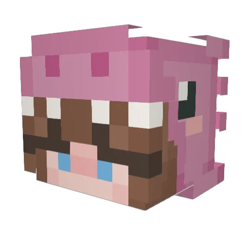 Rubz_by Minecraft avatar head, 3D render
