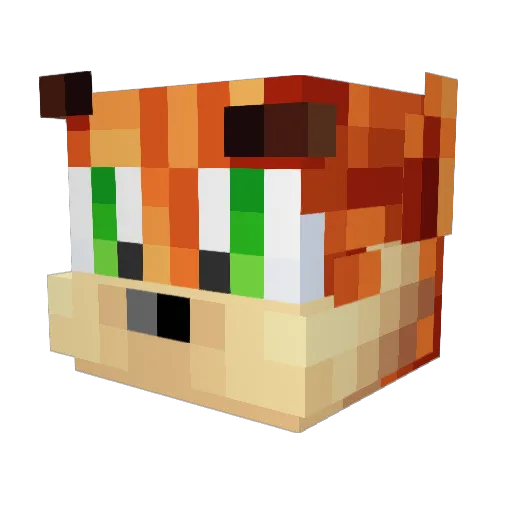 Ruca_11 Minecraft avatar head, 3D render