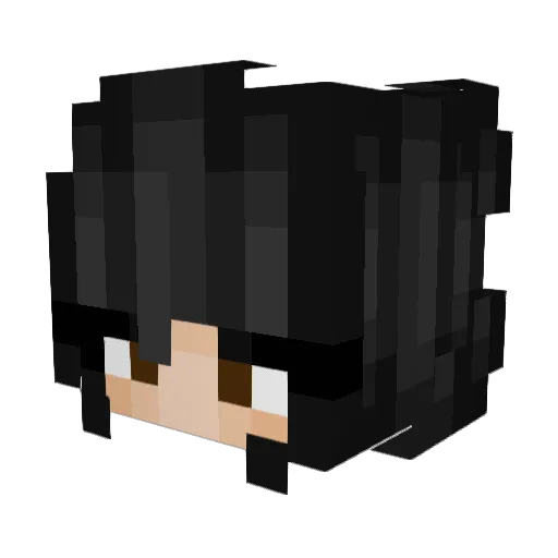 RudeBoy19111 Minecraft avatar head, 3D render