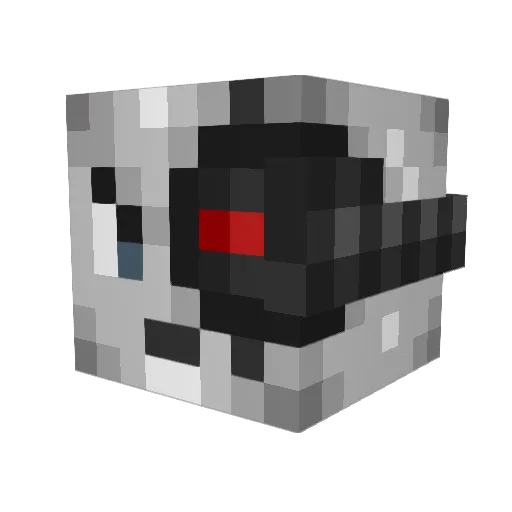 Rudedog4 Minecraft avatar head, 3D render
