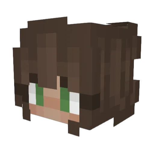 Rudeshka Minecraft avatar head, 3D render