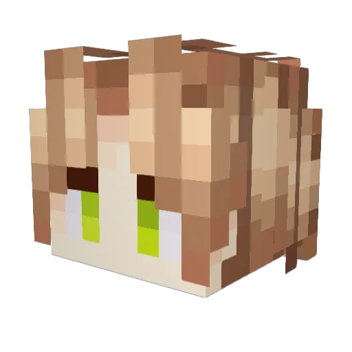 Rudeus000 Minecraft avatar head, 3D render